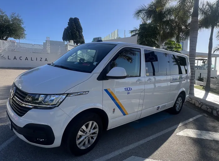 Taxi 20 aparcado junto a palmeras en Rincón de la Victoria